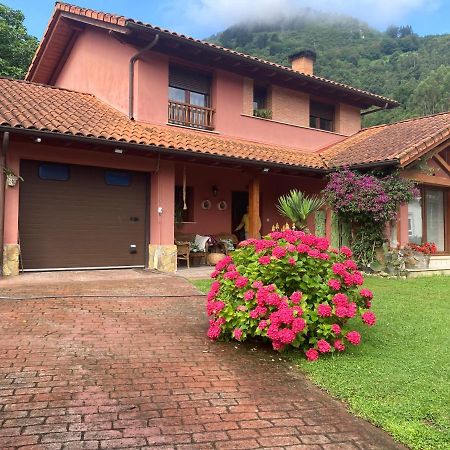 Marron Casa Rojaヴィラ エクステリア 写真